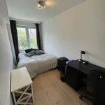 Rent 1 bedroom apartment in Leuven