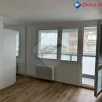 Rent 1 bedroom apartment in Prague