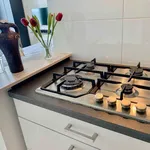 Huur 1 slaapkamer appartement van 40 m² in Den Haag