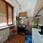 Rent 3 bedroom apartment of 80 m² in Turin