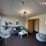 Rent 3 bedroom apartment in Dunedin