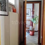 Rent 4 bedroom apartment of 85 m² in Mantova