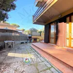 Rent 3 bedroom apartment of 65 m² in Pisa