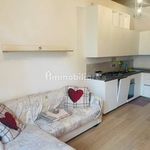 Rent 2 bedroom apartment of 55 m² in Cuneo