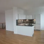 Rent 4 bedroom apartment of 151 m² in Wolfsburg