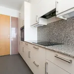 Huur 4 slaapkamer appartement van 136 m² in Willemspark