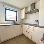 Rent 3 bedroom apartment in TESSENDERLO