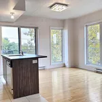  appartement avec 1 chambre(s) en location à Montreal