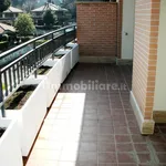 Rent 2 bedroom apartment of 45 m² in Grottaferrata