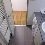 Rent 1 bedroom apartment of 34 m² in Brno