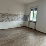 Rent 1 bedroom apartment of 45 m² in Piemonte