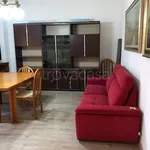 Rent 4 bedroom apartment of 130 m² in Sesto San Giovanni