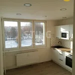 Rent 1 bedroom apartment of 36 m² in Ostrava