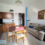 Rent 2 bedroom apartment of 58 m² in Turin