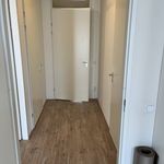 Damstraat, Leidschendam - Amsterdam Apartments for Rent