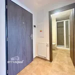 Rent 1 bedroom apartment of 34 m² in Pilsen