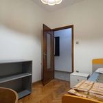 Rent a room in Trento