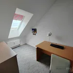 Rent 3 bedroom apartment in Brno