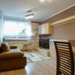 Rent 3 bedroom apartment of 45 m² in Kłodzko