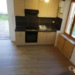 Rent 3 bedroom apartment of 45 m² in Vizille