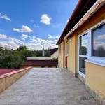 Rent 1 bedroom house of 897 m² in Olomouc