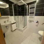 Pronajměte si 1 ložnic/e byt o rozloze 53 m² v Prague