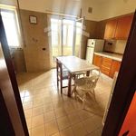 Rent 3 bedroom apartment of 85 m² in Campobasso