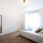 Affitto 4 camera appartamento di 18 m² in Modena