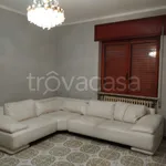 Rent 3 bedroom apartment of 100 m² in Sant'Elia Fiumerapido