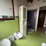 Rent 1 bedroom apartment of 50 m² in Schio