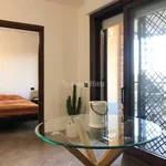 Rent 2 bedroom apartment of 55 m² in Pomezia