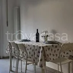 Rent 3 bedroom apartment of 95 m² in Pisa