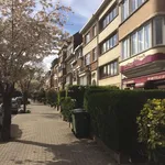 Rent 1 bedroom apartment in Woluwe-Saint-Lambert