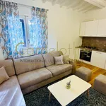 Rent 4 bedroom apartment of 82 m² in Firenze