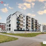 Rent 3 bedroom apartment of 98 m² in Trhový Štěpánov