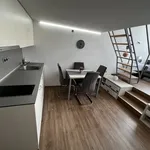 Rent 2 bedroom apartment of 41 m² in Zlín