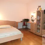 Rent 1 bedroom apartment in Capital City of Prague