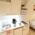 Rent 1 bedroom apartment of 323 m² in Vienna