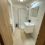 Rent 4 bedroom apartment of 115 m² in České Budějovice