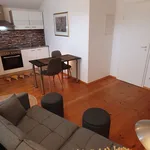 Rent 2 bedroom apartment of 65 m² in Königswinter