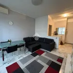 Rent 2 bedroom apartment of 80 m² in Milano