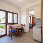 Rent 1 bedroom apartment of 34 m² in Jindřichův Hradec