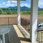 Rent 6 bedroom house of 250 m² in Agugliaro