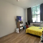 Kamer van 16 m² in De Haven