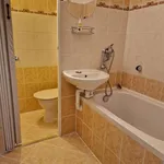 Rent 1 bedroom apartment in Jihlava