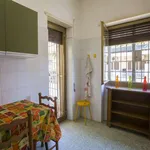 Rent a room in rome