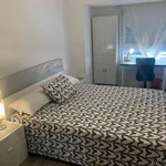 Rent a room in zaragoza