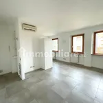 Rent 2 bedroom apartment of 53 m² in Milan