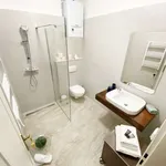 Rent 1 bedroom apartment in prague