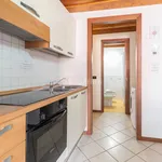 Rent 1 bedroom apartment of 35 m² in Brescia